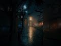 Beautiful Night Road View Rainy Road Video Short Video 