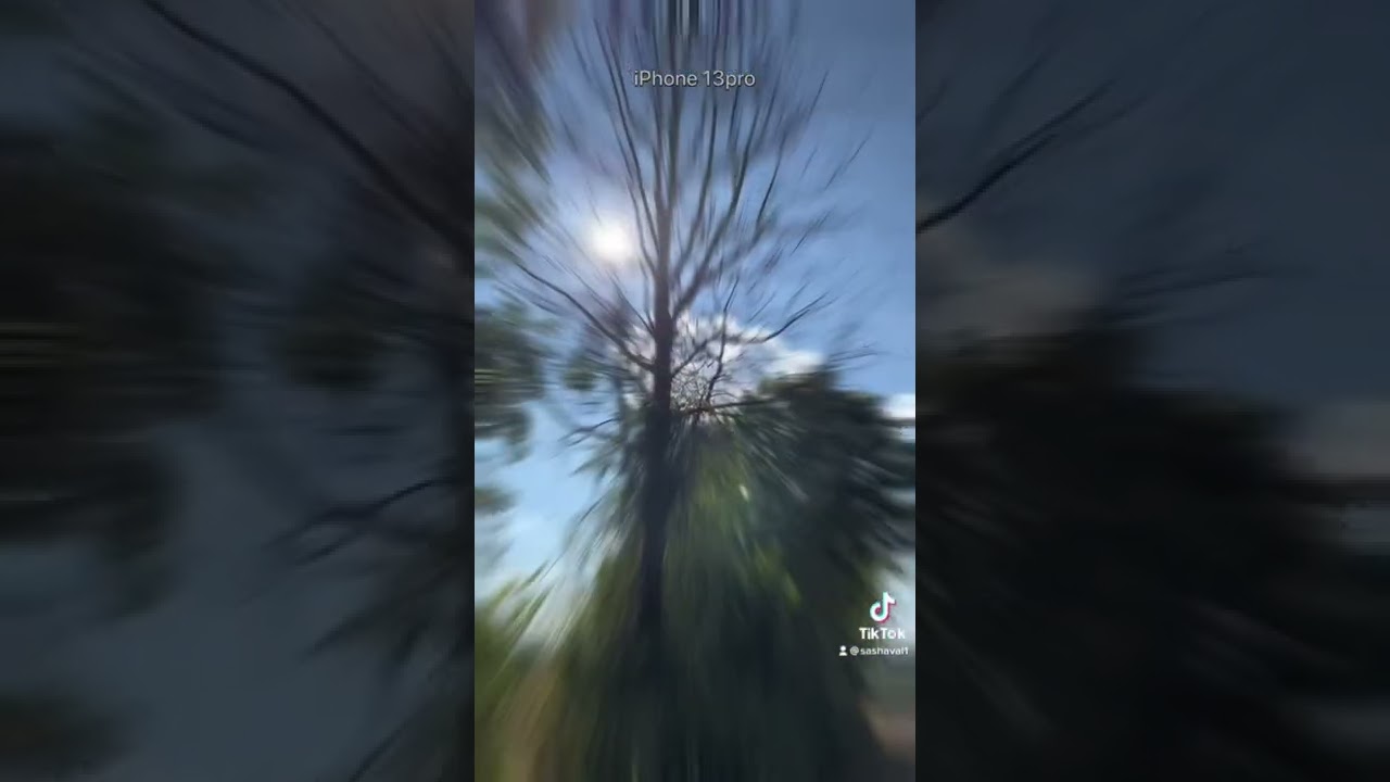 Сравнение камер IPhone 11 VS IPhone 13 pro