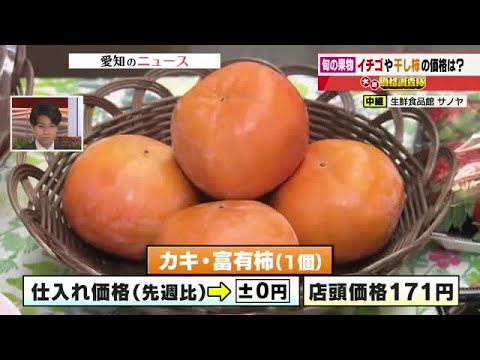 The purchase price of Nagano Prefecture's 
