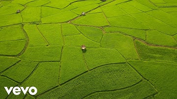 Joe Hisaishi - Merry-Go-Round of Life (from Howl’s Moving Castle)
