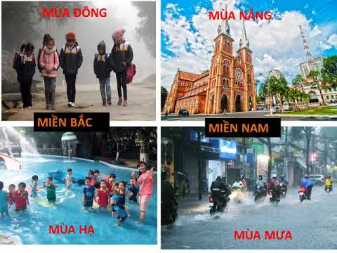 Địa lý 6: tuần 24