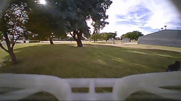 Whoop through the Trees! (Kingkong Tiny 7)