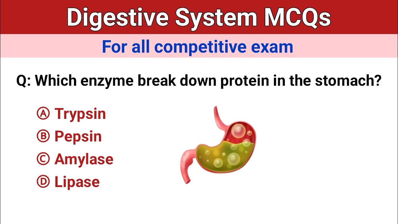 Digestive system mcq questions | human digestive system | biology mcq for all competitive exam