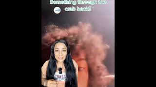 Famous The MERMAID threw the CRAB back! Net Worth