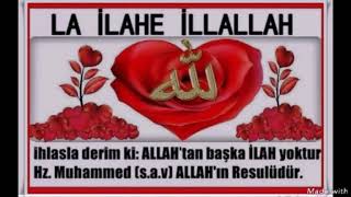 Dini Mahni Elsen Xezer