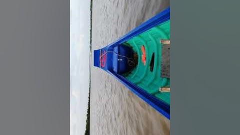 Cận cảnh cầu năm căn cà mau