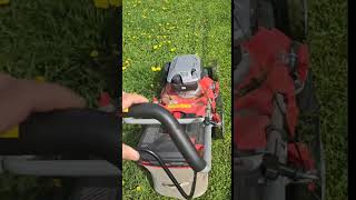 Mowing the lawn in the spring / Grass cutting machine