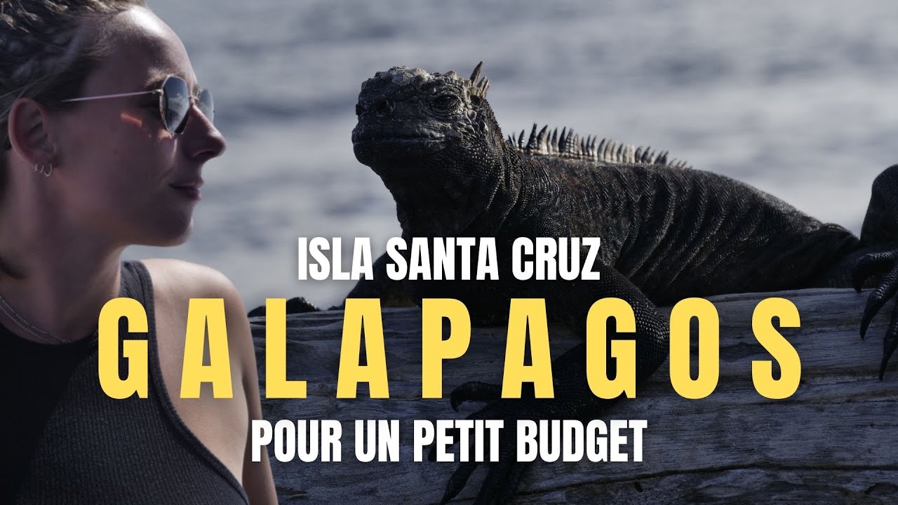 VISITER LES GALAPAGOS avec un petit budget !! [Vlog isla santa cruz]