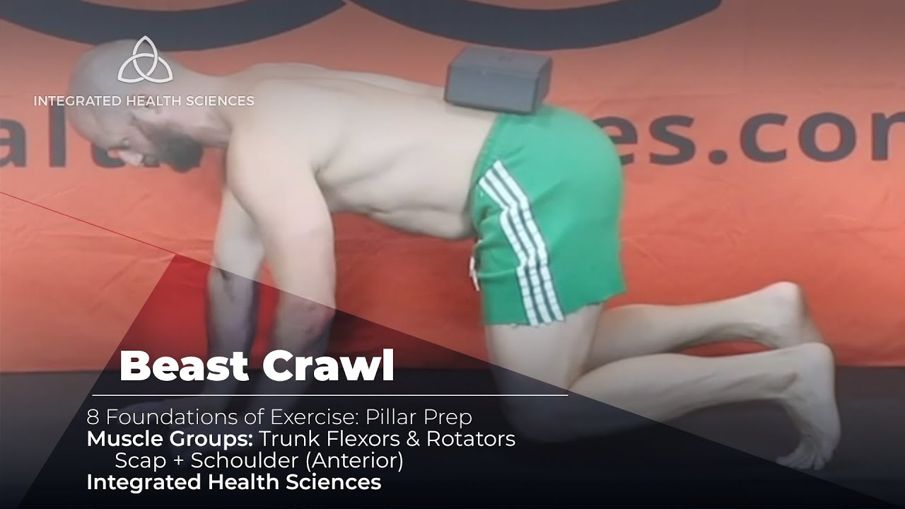 Beast Crawl Exercise - How the Experts Coach it! - YouTube