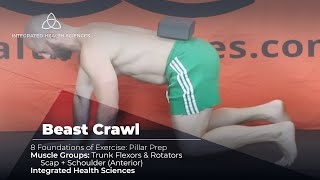 Beast Crawl Exercise - How the Experts Coach it!