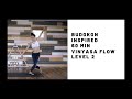 Budokon Inspired 60 Minute Vinyasa Flow Level 2