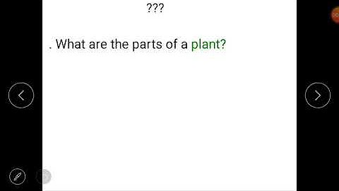 Class 1(E.V.S)- Lesson 1(Different Kinds of Fruits) of block 17(Plants are Different).