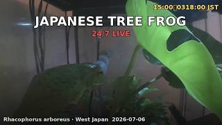 Japan Herp Live - Schlegel's Tree Frog 2026-07-06 09:00〜21:00 JST [Day]