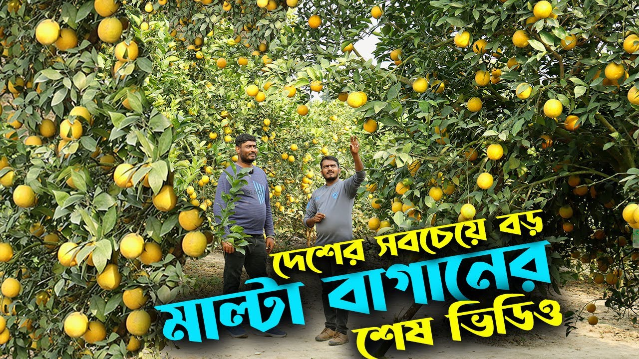 Ayolning qinini yalash Qizlar mushuklari yaqindan video