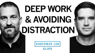 Avoiding Distractions & Doing Deep Work | Dr. Cal Newport & Dr. Andrew Huberman