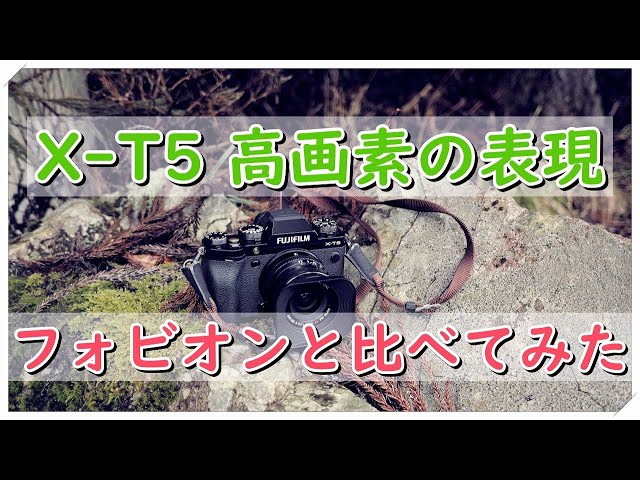 X-T5 で風景撮ってみた dp1 Merrill と 比較 4K視聴おすすめ - YouTube