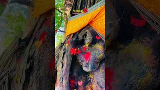 Maa Andhari Mandir 🔥 | Divine Odisha Temple | Cinematic View