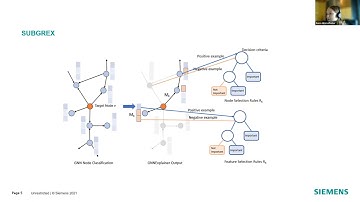 IJCLR 2021 - NeSy - A New Concept for Explaining Graph Neural Networks