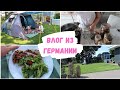 VLOG🇩🇪: ЖИЗНЬ в ГЕРМАНИИ/ мариную грибы 🍄ставим для детей палатку⛺️