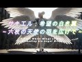 【MV】サキエル：希望の白き翼～六枚の天使の羽を広げて～　Sakiel: White Wings of Hope ～Spreading Six Angel Wings～