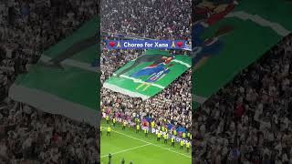 Full 🙏🔵🔴 Emotional choreo of PSG fans in memory of Luis Enrique‘s daughter Xana #uclfinal #psg #xana News