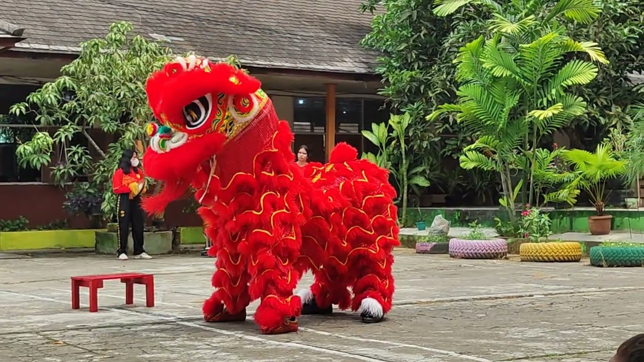 Penampilan Barongsai Borneo Master (3/3/26)