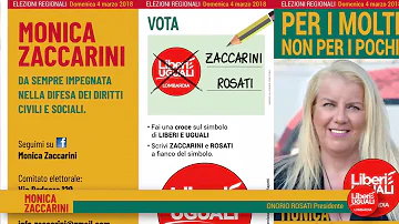 Che partito è liberi uguali?