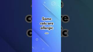 Some cats are allergic to humans