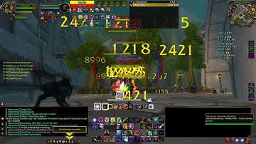Project Ascension Seething Flames AOE build target 6 target dummy parse outside stormwind