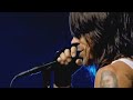 Red Hot Chili Peppers  -  Don&#39;t Forget Me  (with John  Frusciante)