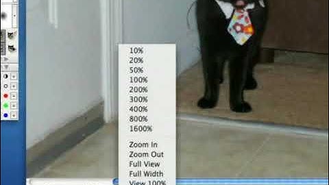 Photoline Tutorial: Navigation