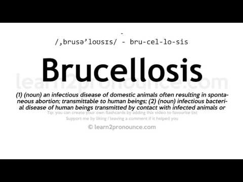 Tarimas brucelioze | Apibrėžimas Brucellosis