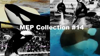 MEP Collection #14