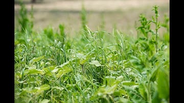 AgriProve - Grow Top Soils - Healthy Soils