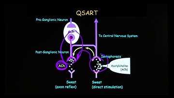 ANS Tests Part 3: Tilt Table - HRV - QSART and Others (16 of 24)