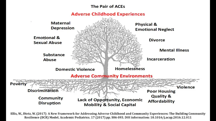 BCR Webinar: How to Use the ‘Pair of ACEs’ to Build Community Resilience
