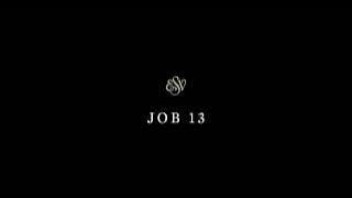 Job 13 - English Standard Version (ESV)