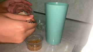 Fermentation with yeast + sugar and yeast + brown sugar