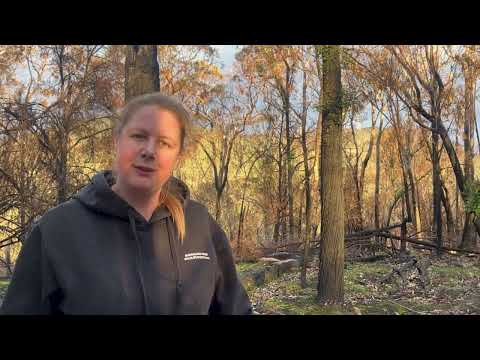 Fire Resilient Communities - Reserve regeneration after the Montrose bushfire