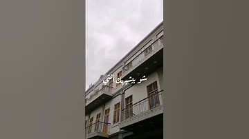 شو بيشبهك تشرين 