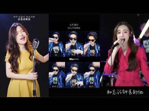 【抖音】《野狼disco》最酷炫版来袭！全人声刷碟版《芒种》《春光灿烂猪八戒》《圣斗士星矢》燃爆你的耳朵！
