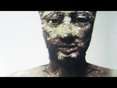 تاريخ مصر  الملك بيبي الثاني والثورة