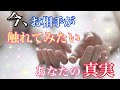 【💕 ❤️今、お相手が触れてみたいあなたの真実❤️💕】