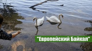 Виштынецкое озеро_Калининградская обл. (18.08.2022).