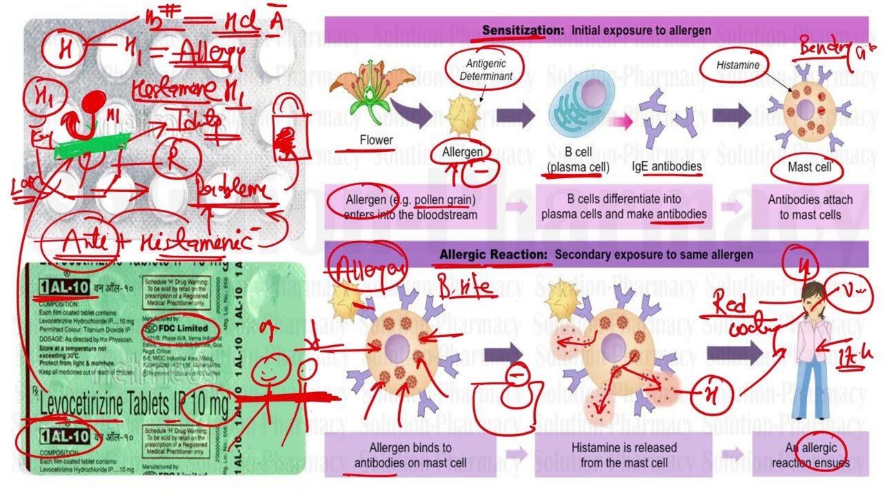 1-AL Tablet | Levocetirizine Tablet | एलर्जी में सेत्रिजिन टेबलेट काम कैसे करता है बड़े आसानी से समझे