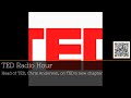 Revolutionizing Ideas: Chris Anderson on TED's Bold New Vision #podcast #15Minutes