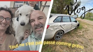 NOUVEAU COMPAGNON ET GROS IMPRÉVU 🌟 VLOG 358