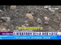 6.2噸「戴奧辛廢棄物」埋近水源 學者憂「水源汙染」｜三立新聞網 SETN.com