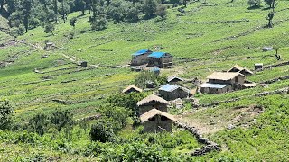 Sustainability in Action: An Organic Nepali Mountain Village Story of Barekot || IamSuman