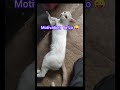 Motivation 😜 All app Stutas #weinioo72 #motivation